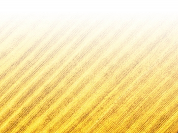 智能農(nóng)機(jī)、“訂單”服務(wù)、“云端”種菜——來(lái)自江西的春耕“新事”